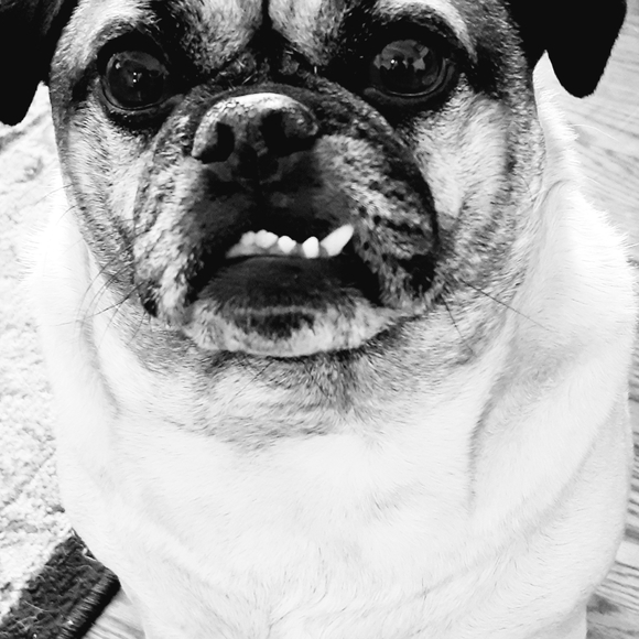 Meet your Posher, Tracy - Picture 7 of 7